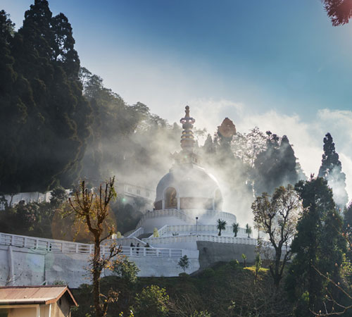 Best of Darjeeling Tour