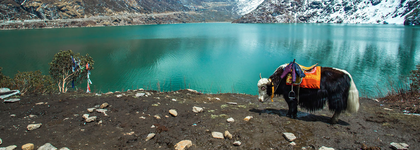 Discover Darjeeling and Sikkim